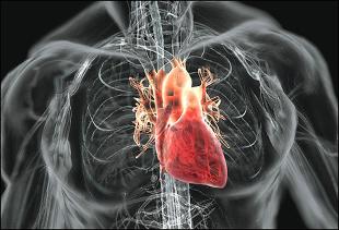 Cardiovascular diseases