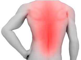 The back pain